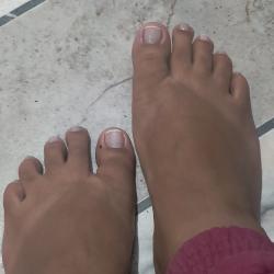 Lamina
