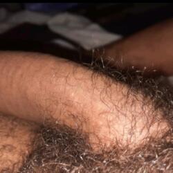 rolao22cm