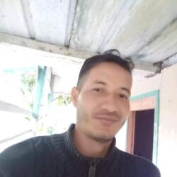 Alcyomar 85