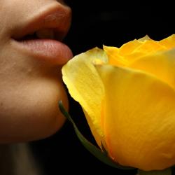 Picture of Lorena 09